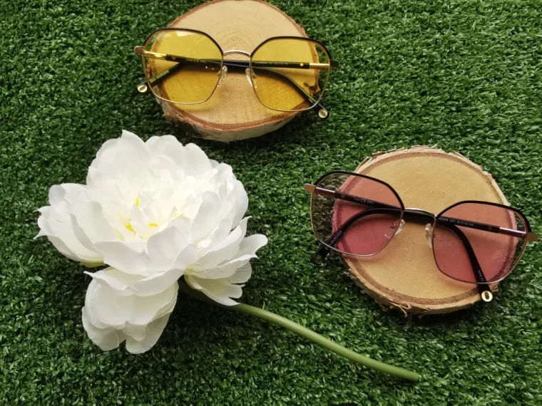Lunettes de ball trap à la vue à Roquefort